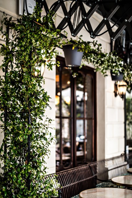 hotel-providence-paris-terrasse-instagram