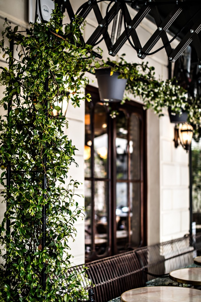 hotel-providence-paris-terrasse-instagram